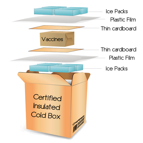 Schematic layout of the cold box